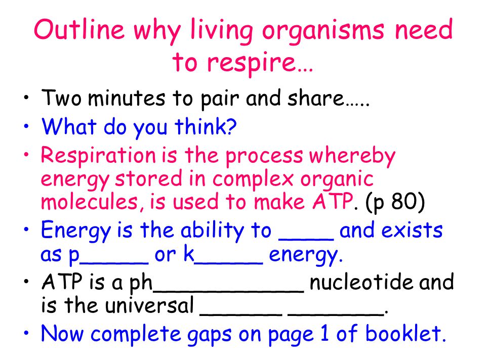 Why do living things need energy